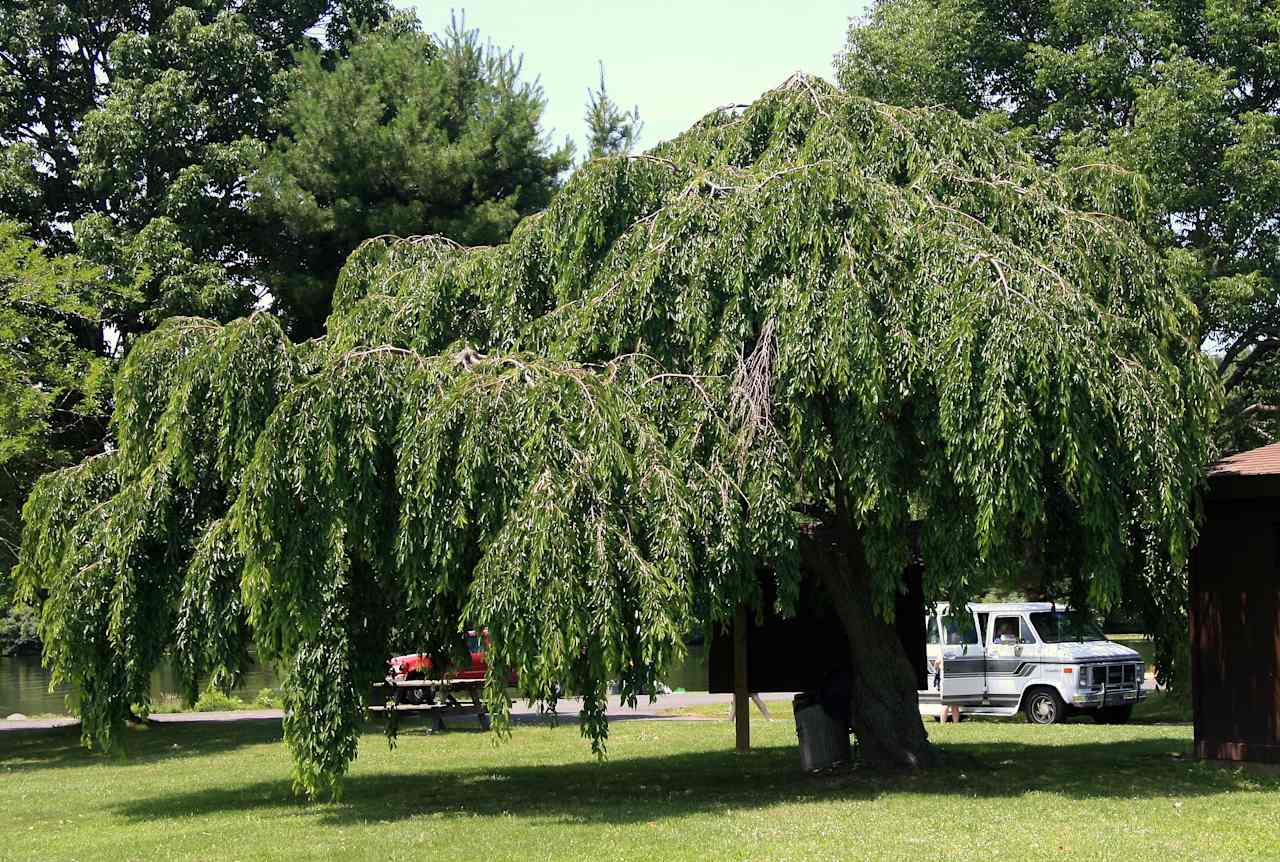 Nockamixon Park Campground