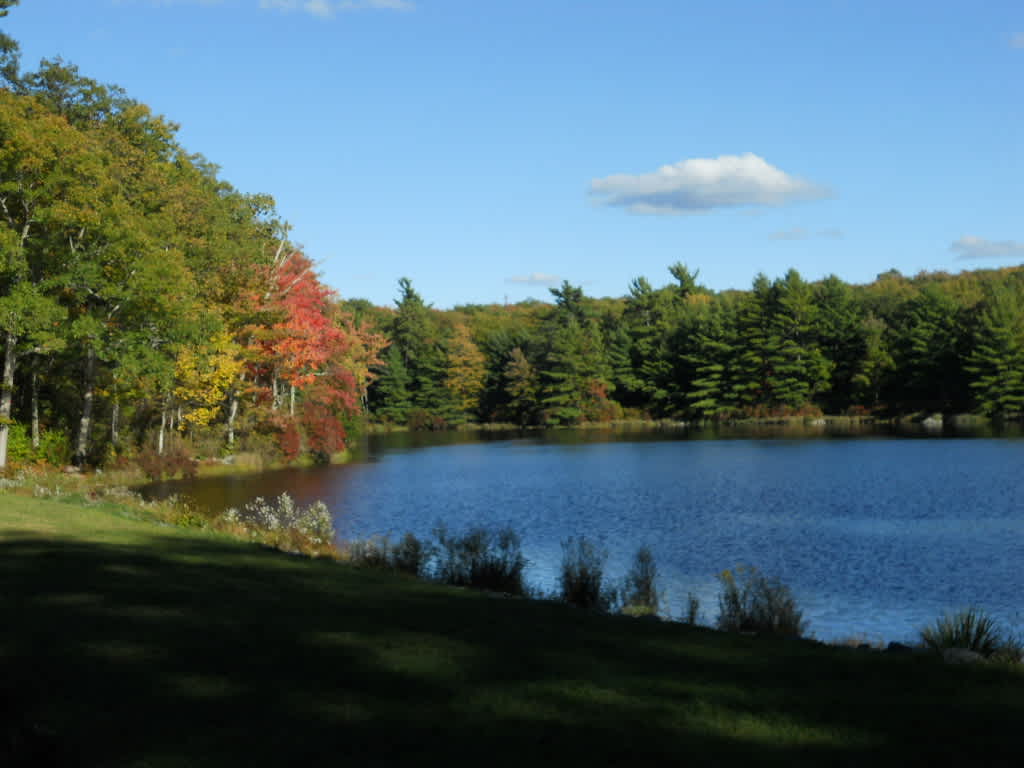 Pines Campground