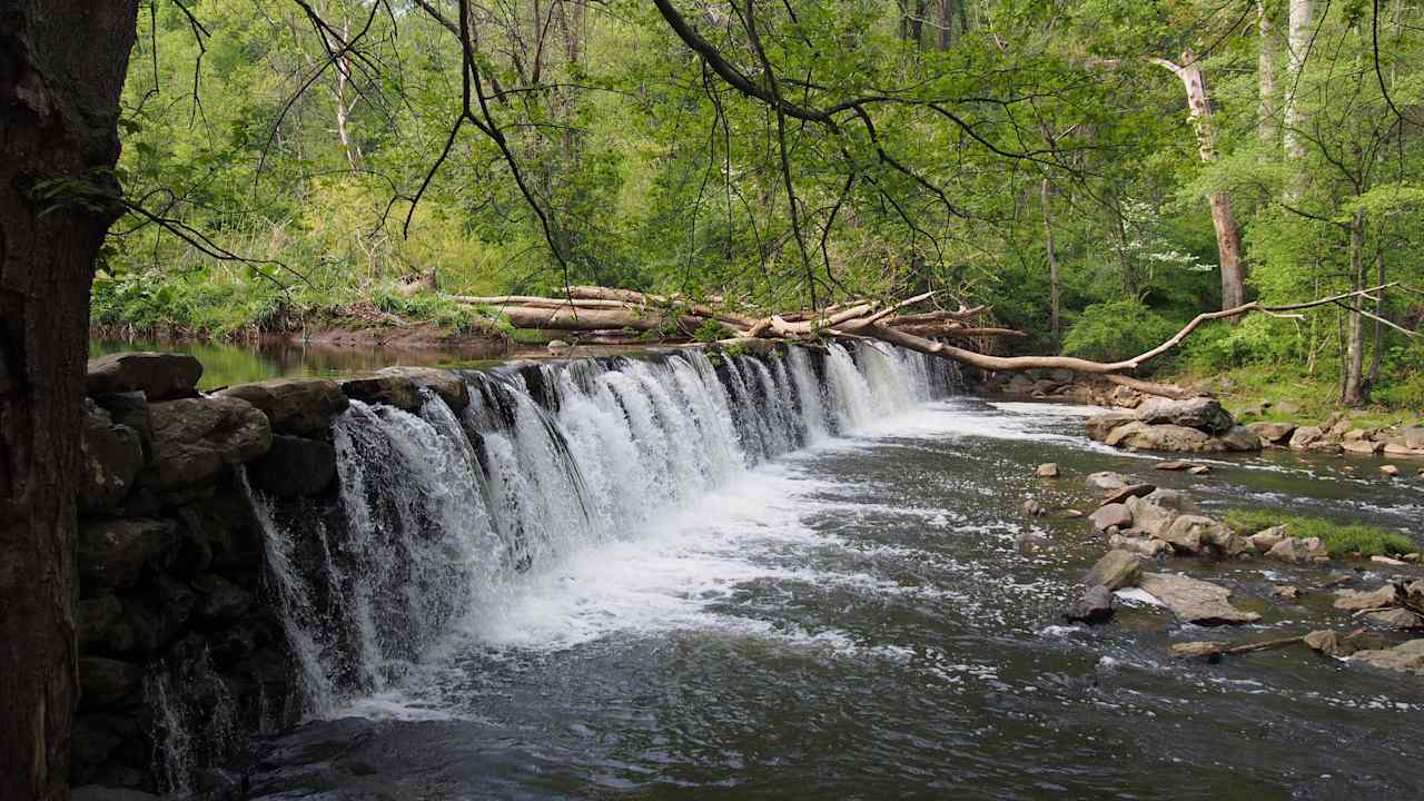 Ridley Creek Park Campground