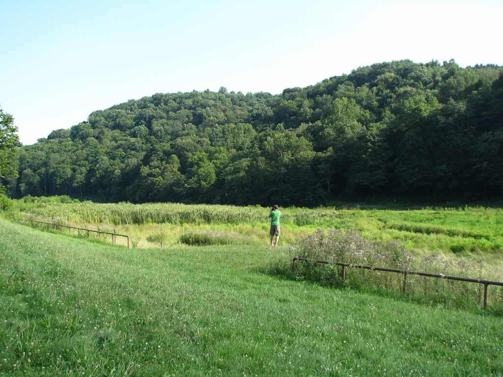 Polly Hill Campground