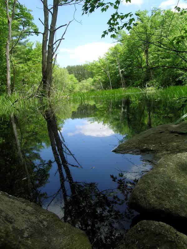 Wells Campground
