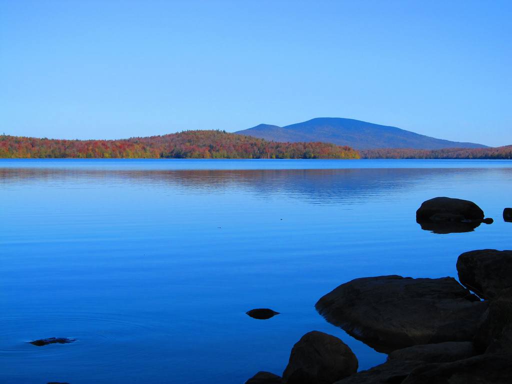 Griffith Lake from Forest Road 58