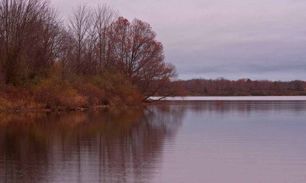 Spruce Run Campground