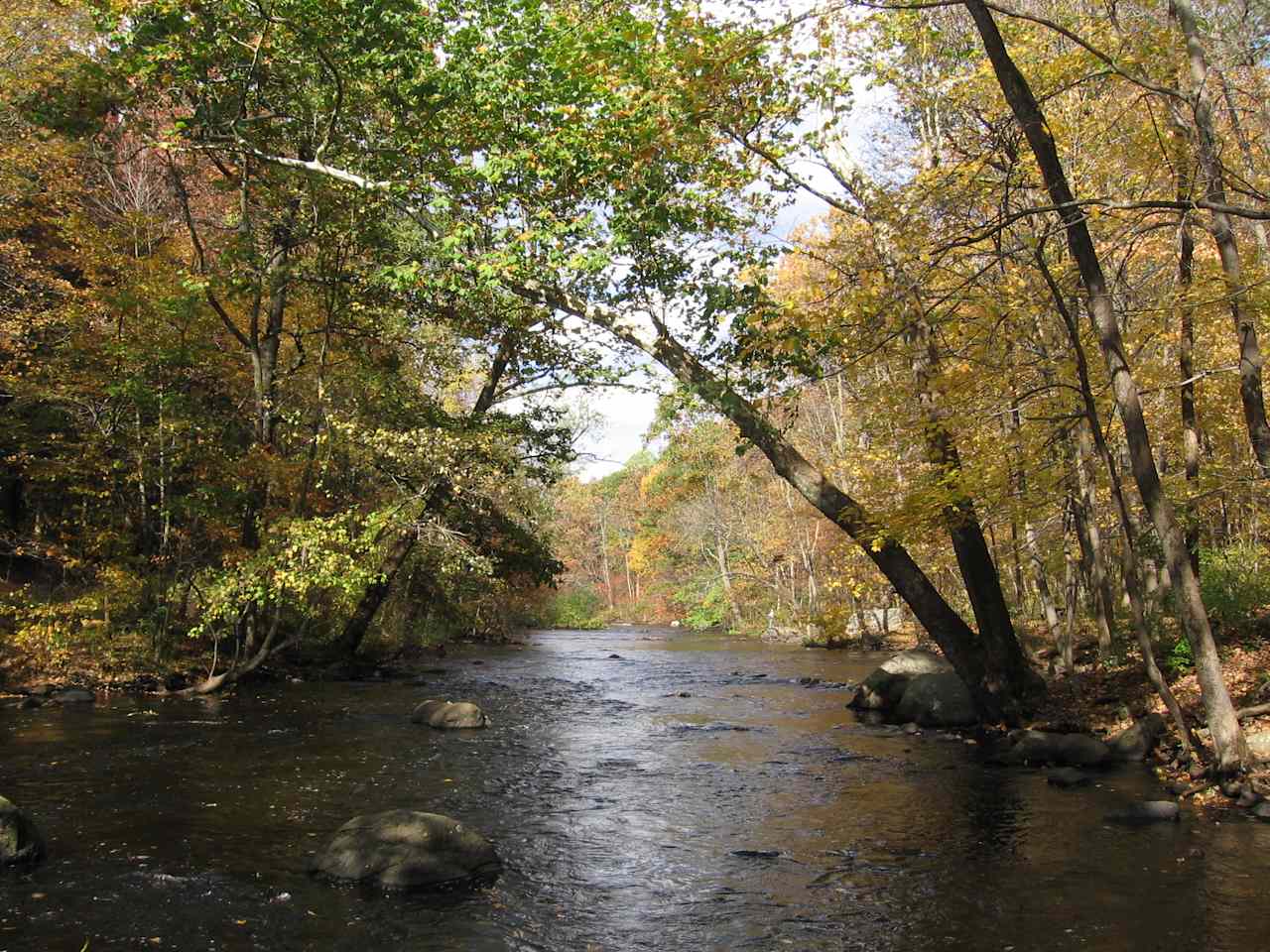 Stephens State Campground