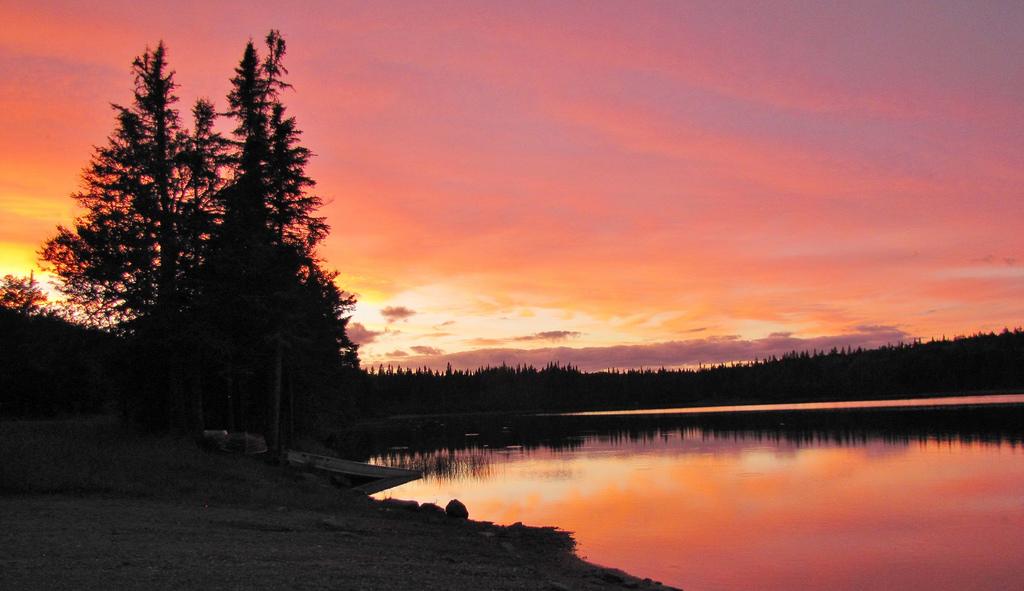 Coleman Campground