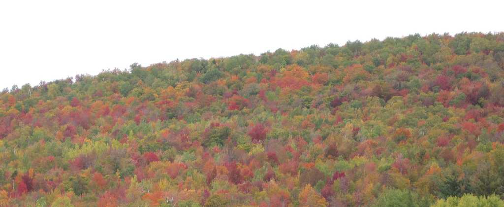 Lafayette Place Campground