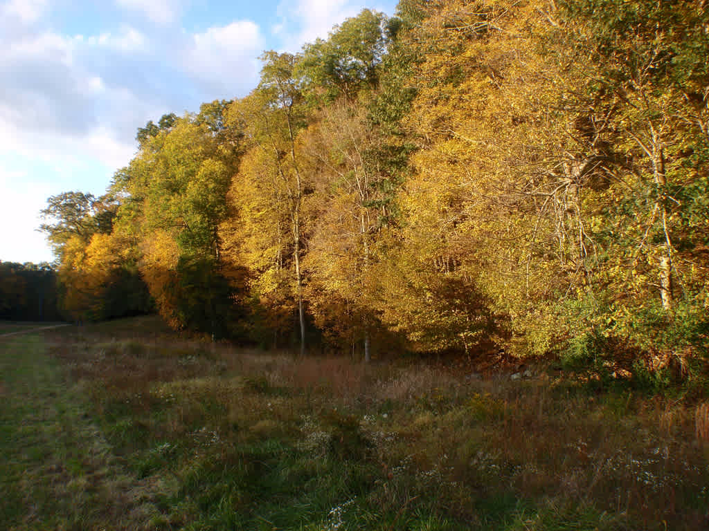 Hurd State Park