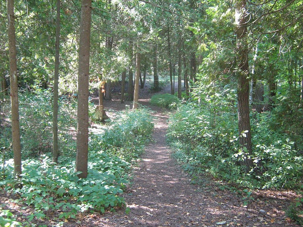 Harrisville Campground