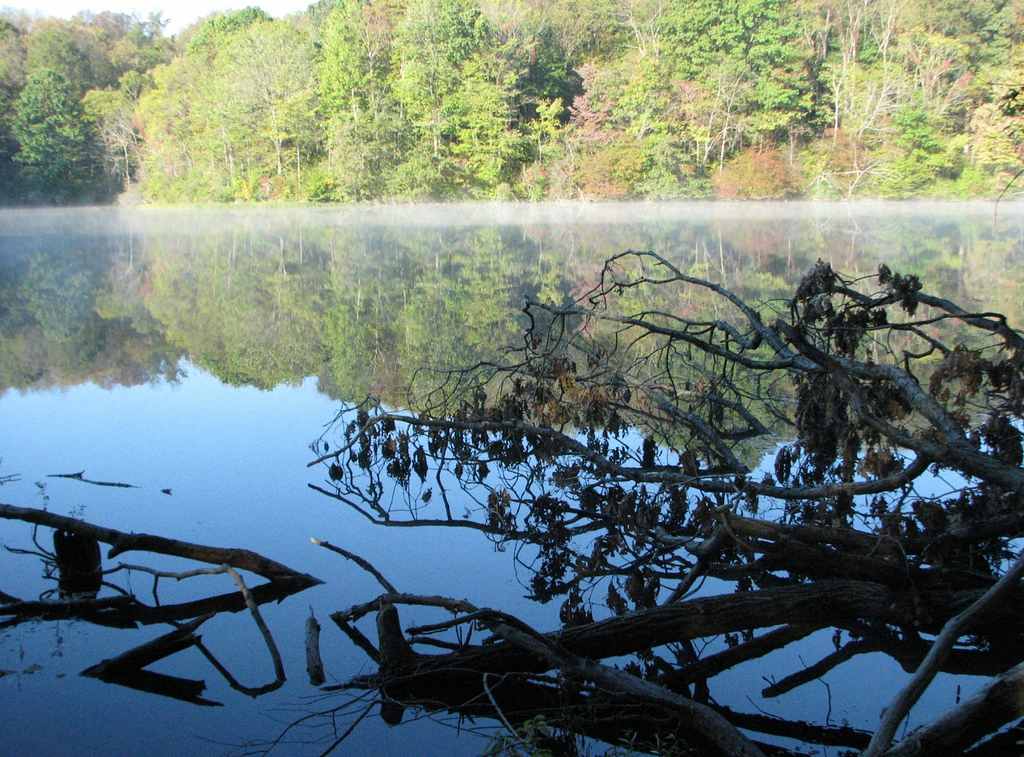 Barkcamp State Park