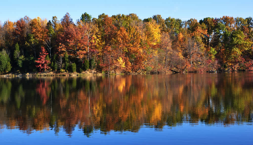 Cowan Lake Campground