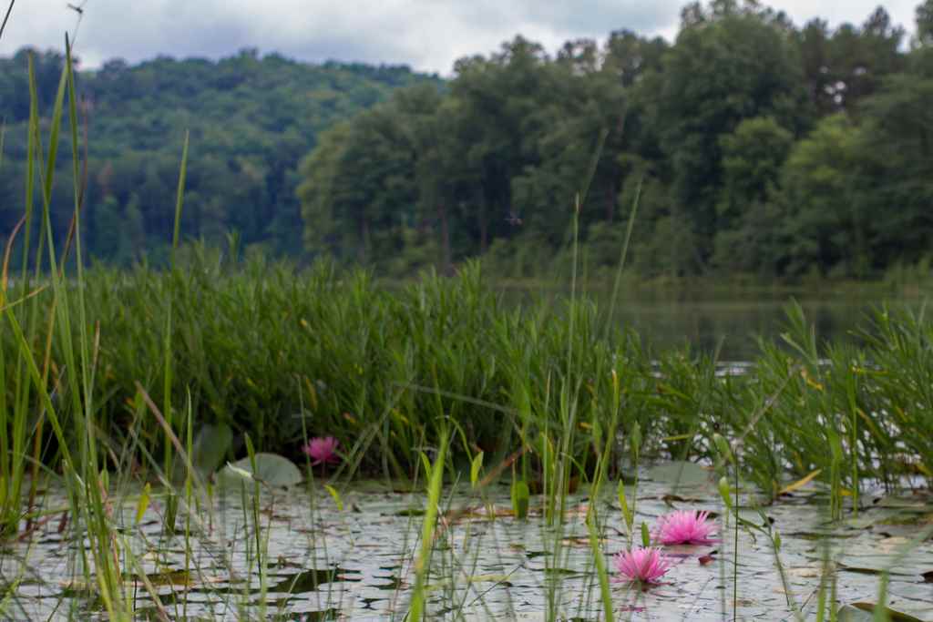 Lake Hope Campground