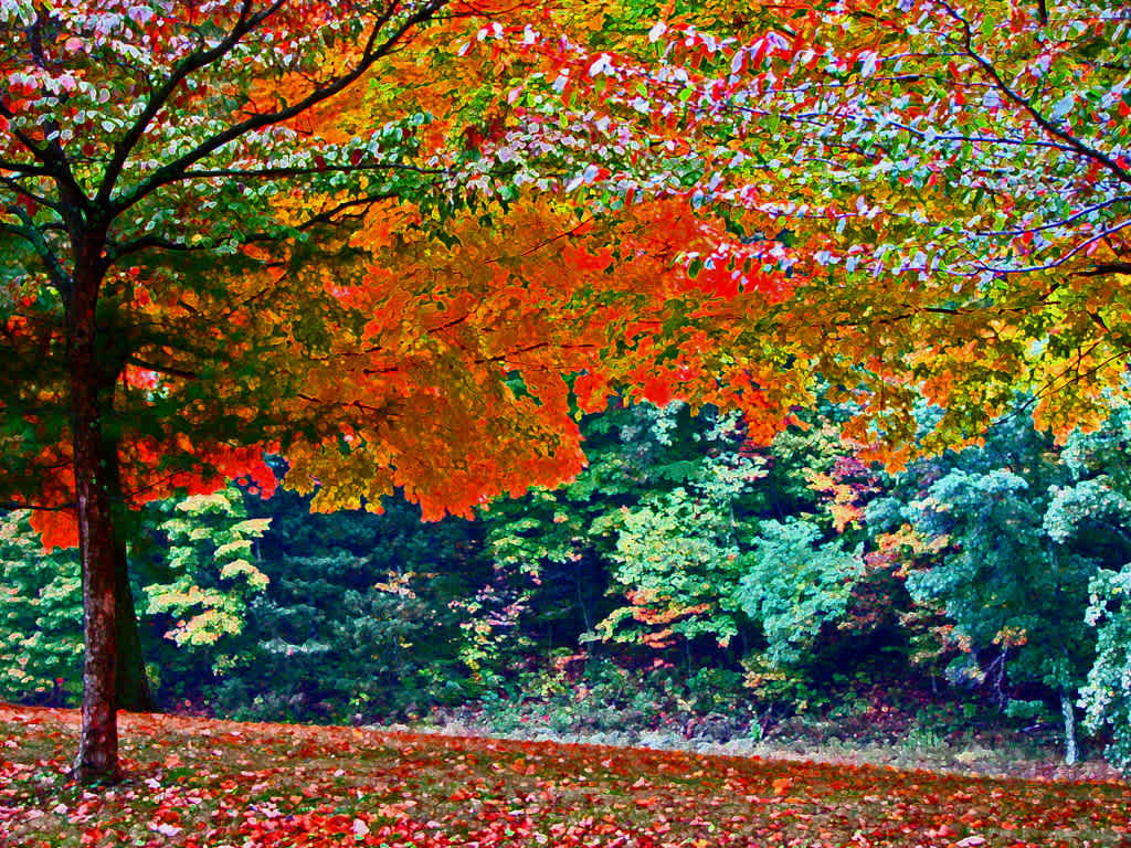 Scioto Trail State Park