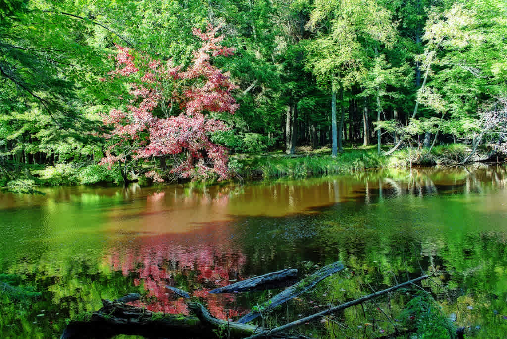 Brunet Island Campground