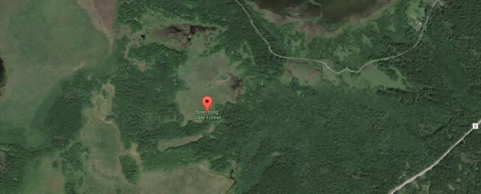Bowstring State Forest