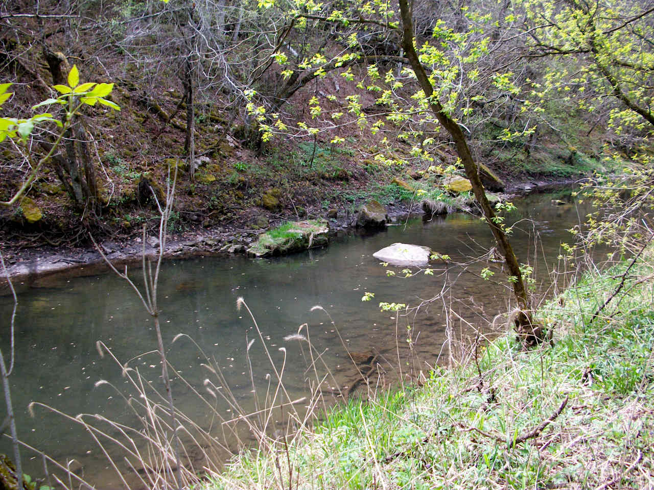 Carley State Park