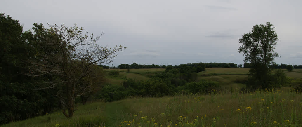 Kilen Woods State Park Campground