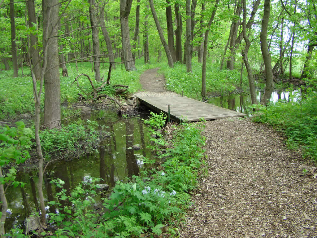 Rice Lake State Park