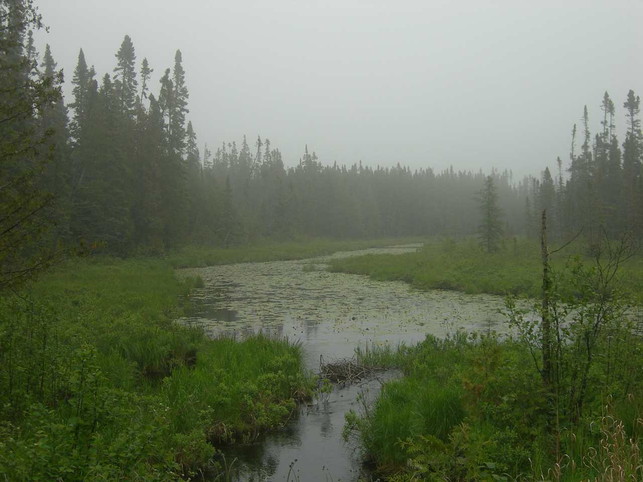 Sawbill Lake Campground