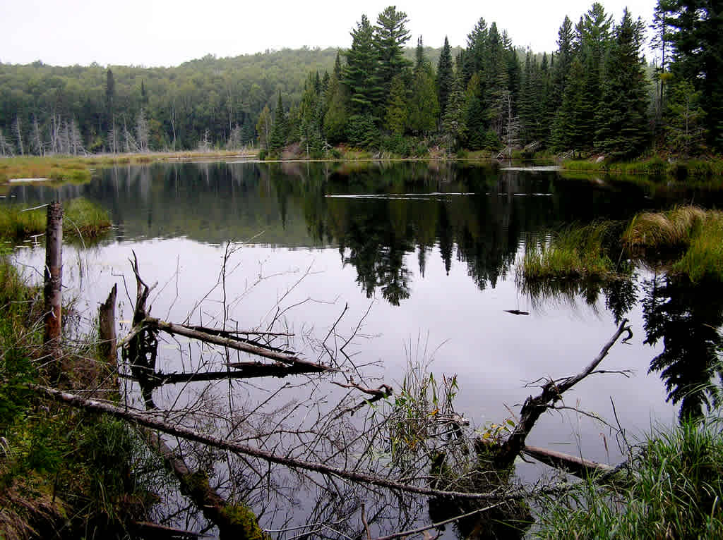 Fourmile Lake Rustic Campground