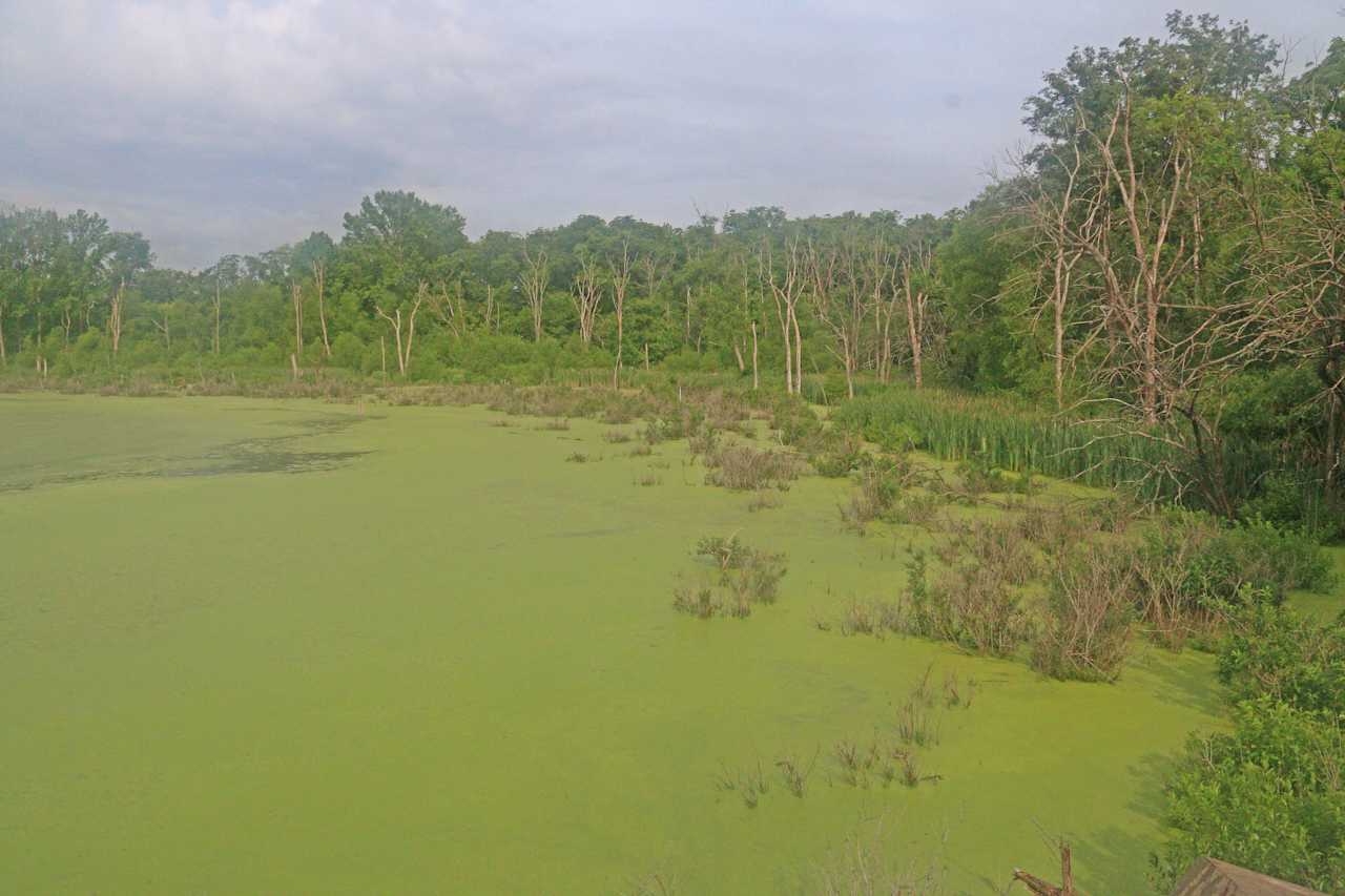 Beaver Dam Campground