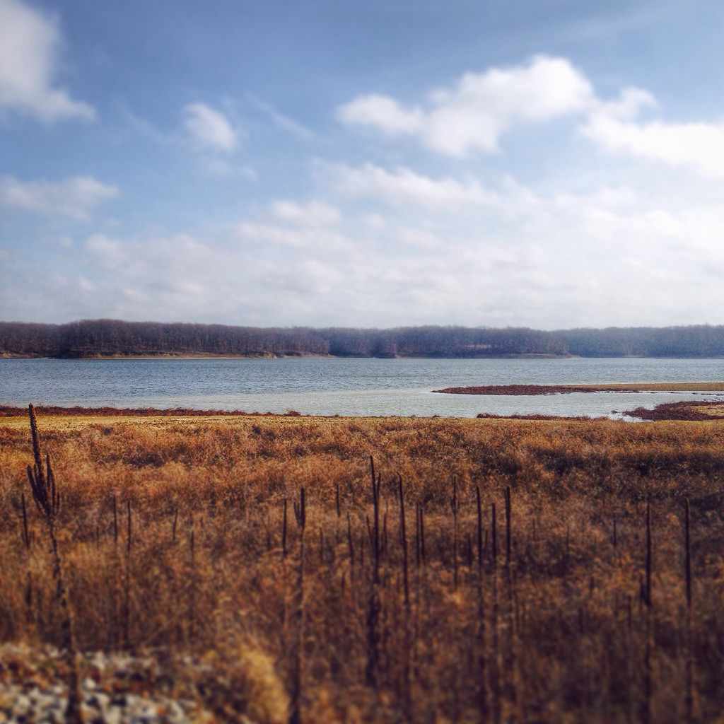 Coon Creek Campground