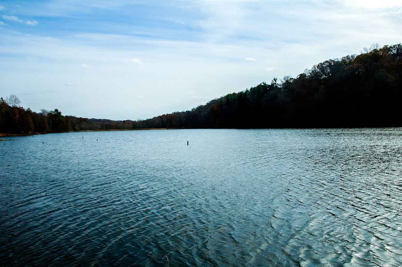 Ferdinand State Forest