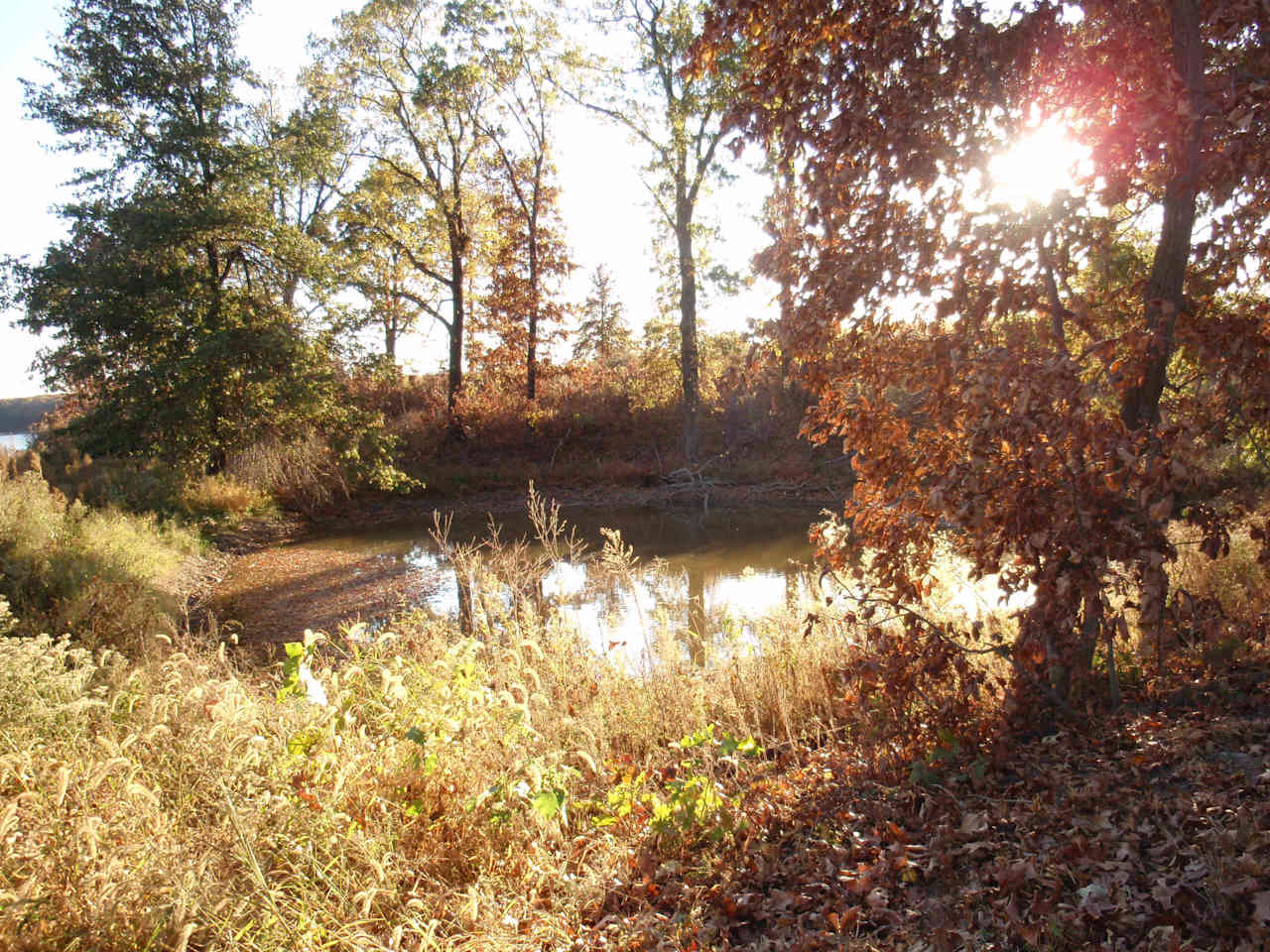 Honey Creek Resort Campground