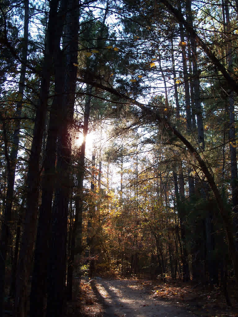 Baker Creek State Park