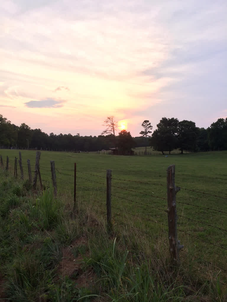 Woods Ferry Recreation Area
