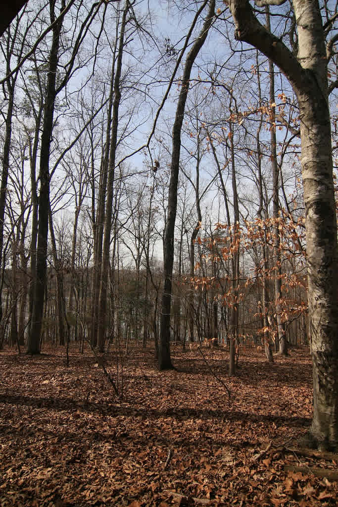 Croft State Park