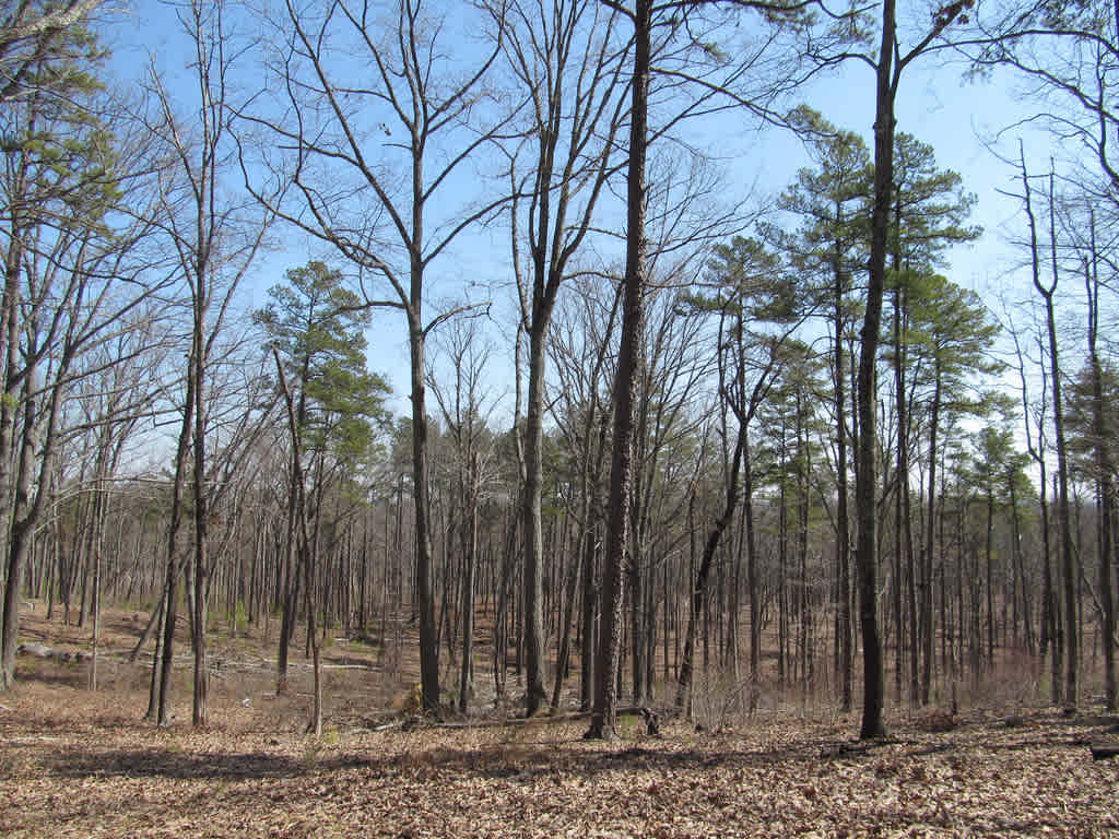 Kings Mountain National Military Park