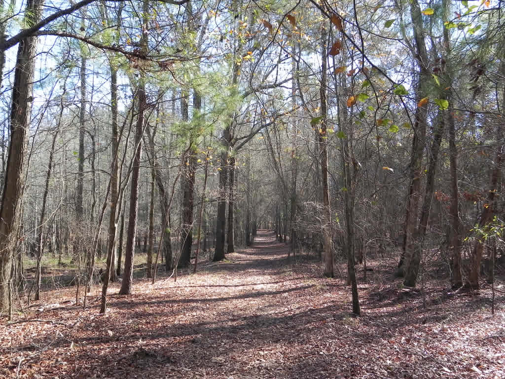 Lake Wateree State Park