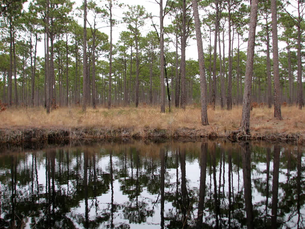 Flanners Beach Campground