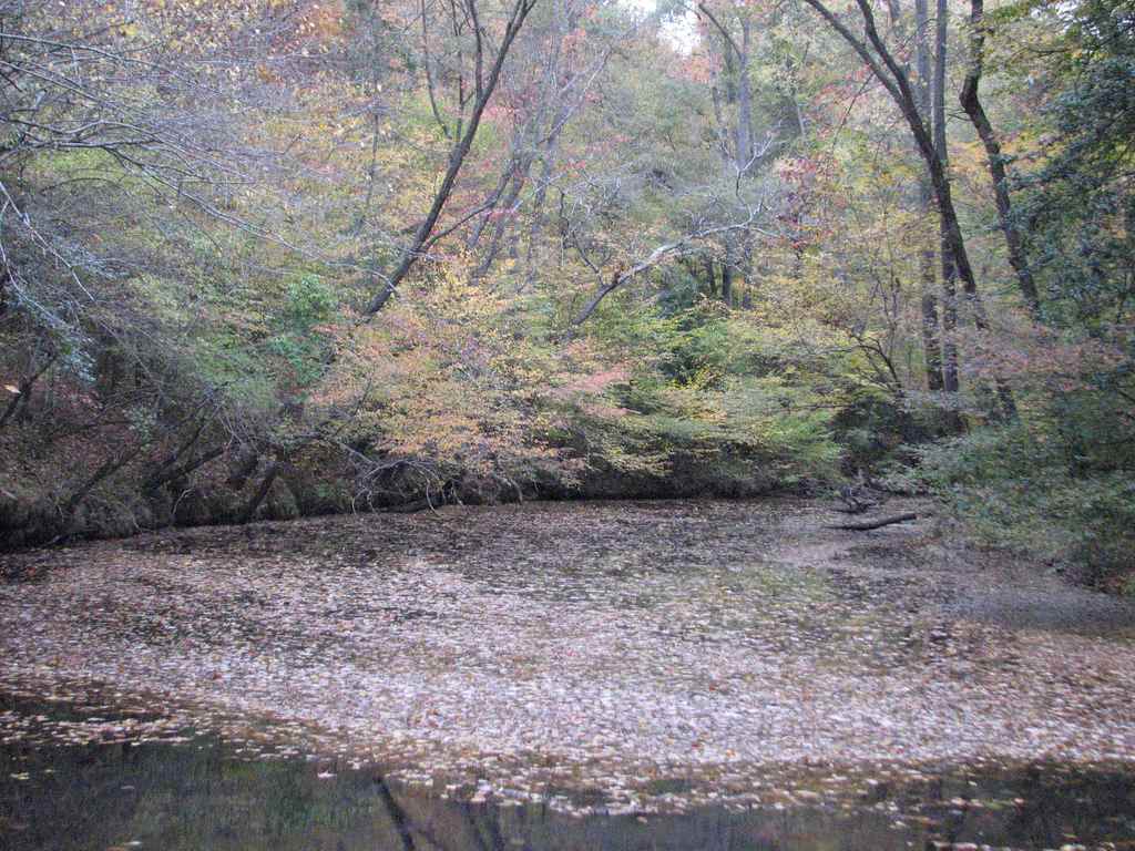 Medoc Mountain State Park