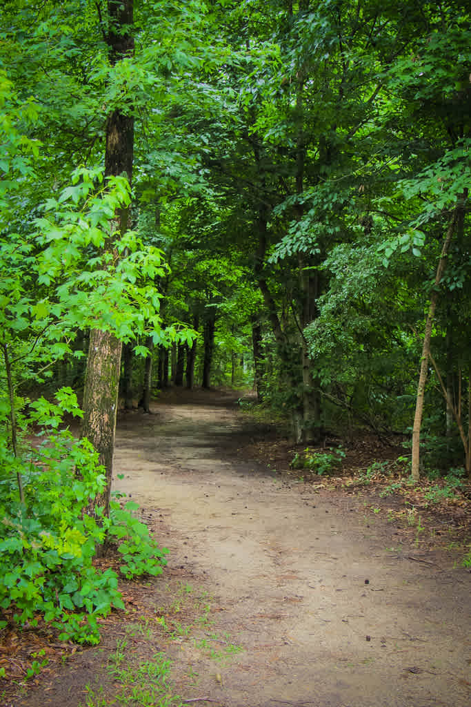 Cliffs of the Neuse State Park