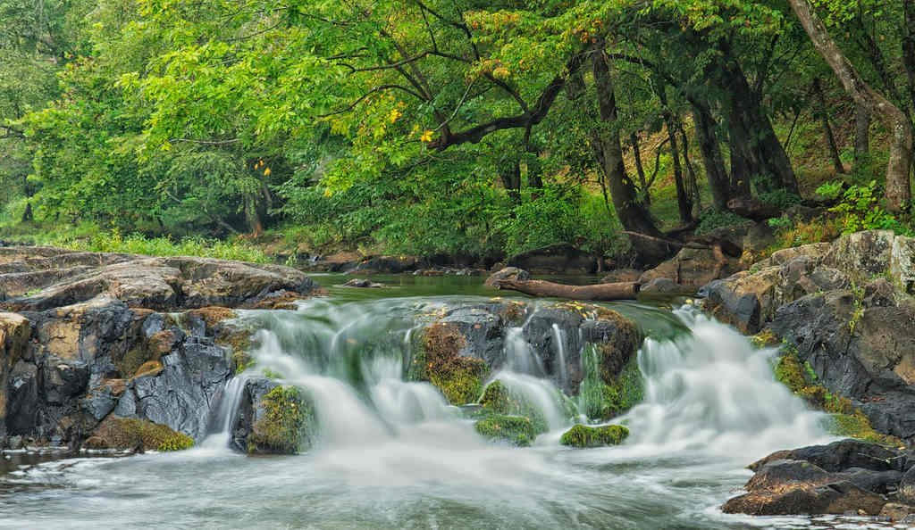Eno River State Park