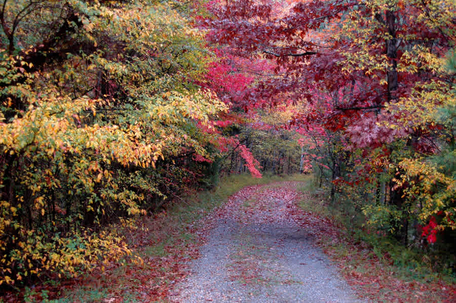 Gatlin Point Campground