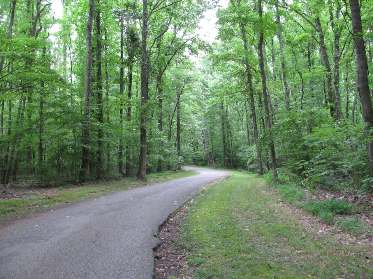 Meeman-Shelby Forest Campground