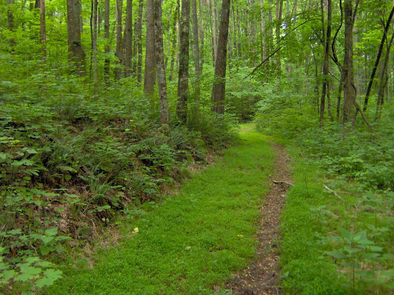 Standing Stone State Park