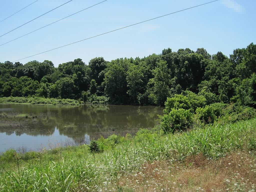 T.O. Fuller Campground