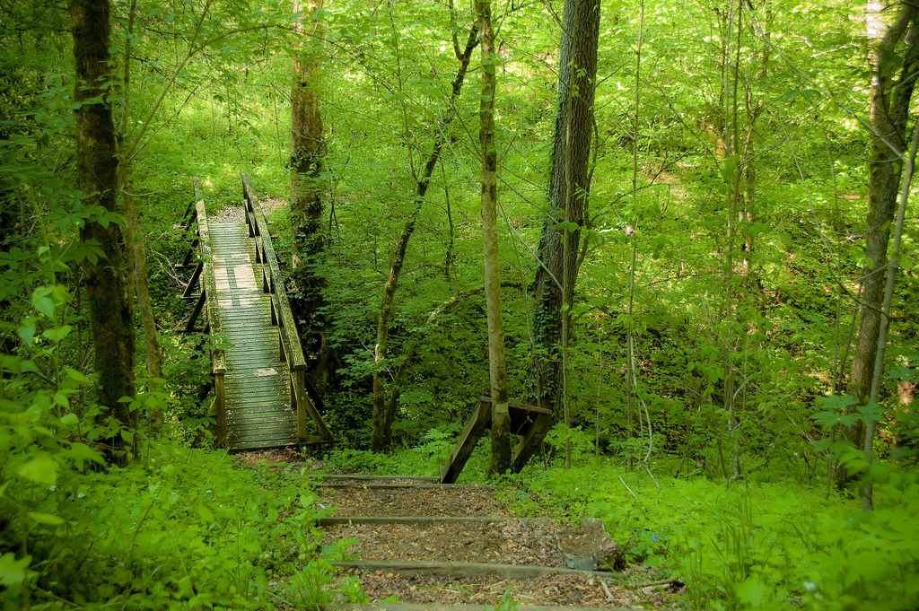 Fort Boonesborough Campground