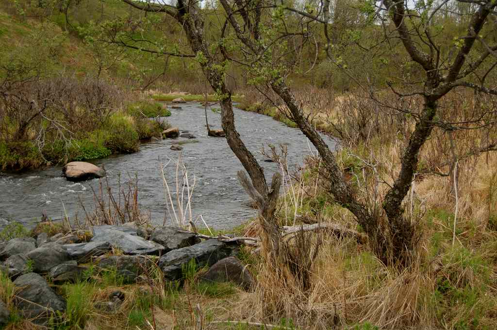 Ninilchik View Campground