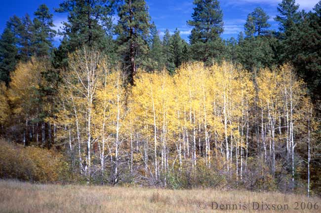Duran Canyon Campground