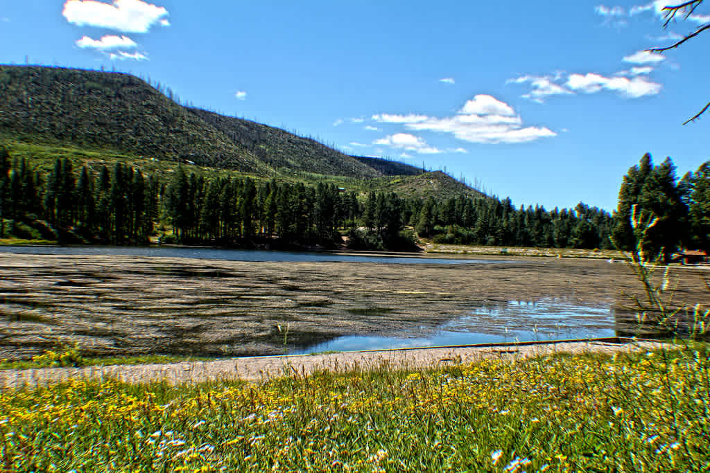 Fenton Lake State Park Campground