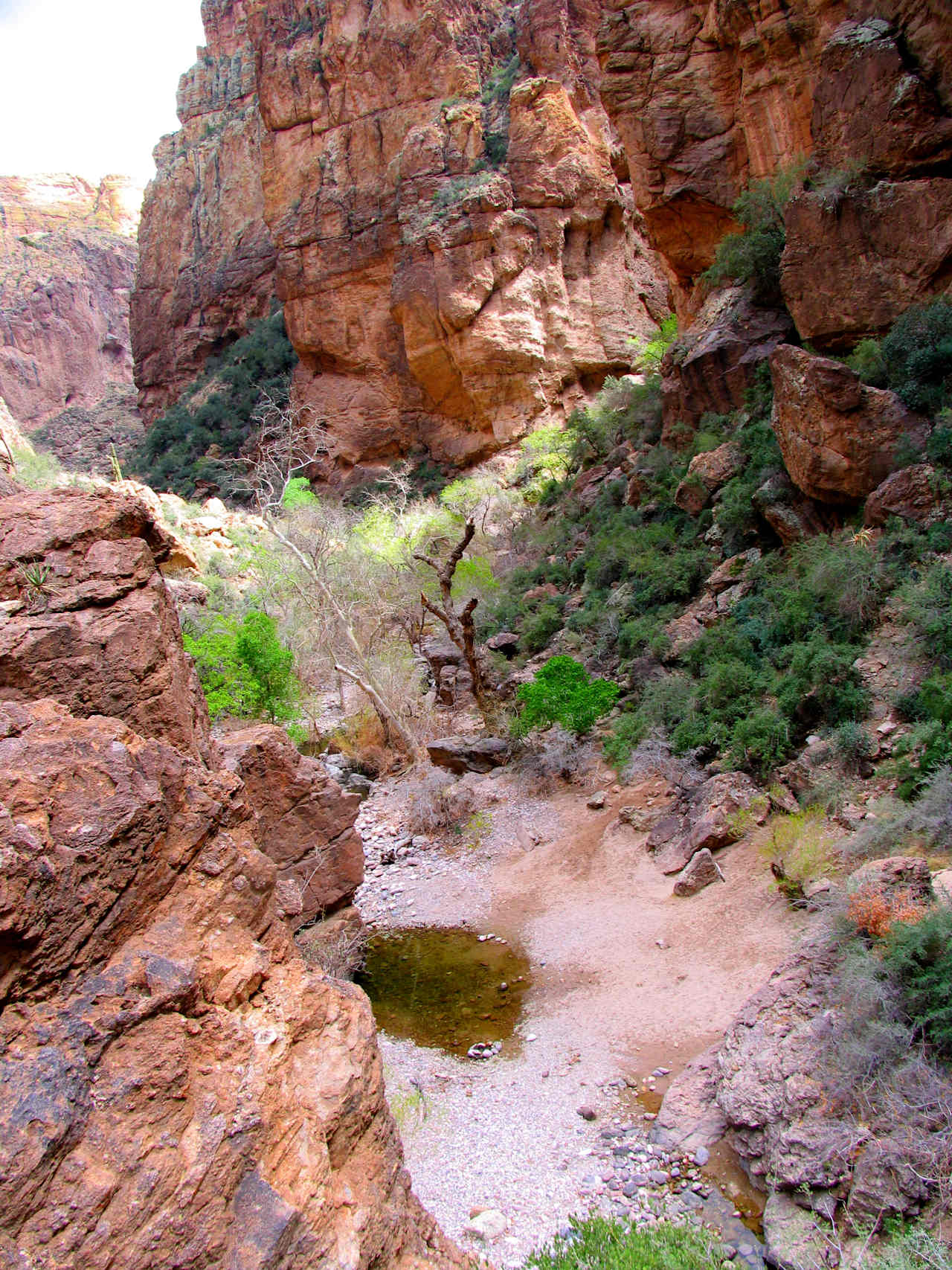 Pinal & Upper Pinal Campground