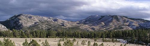 Vigilante Campground