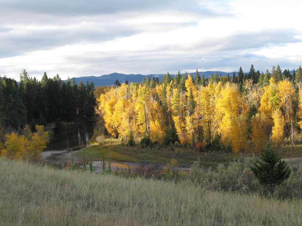 Indian Flats Cabin