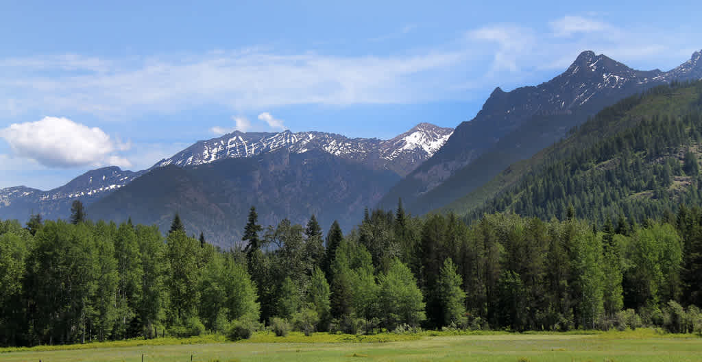 Loon Lake Campground