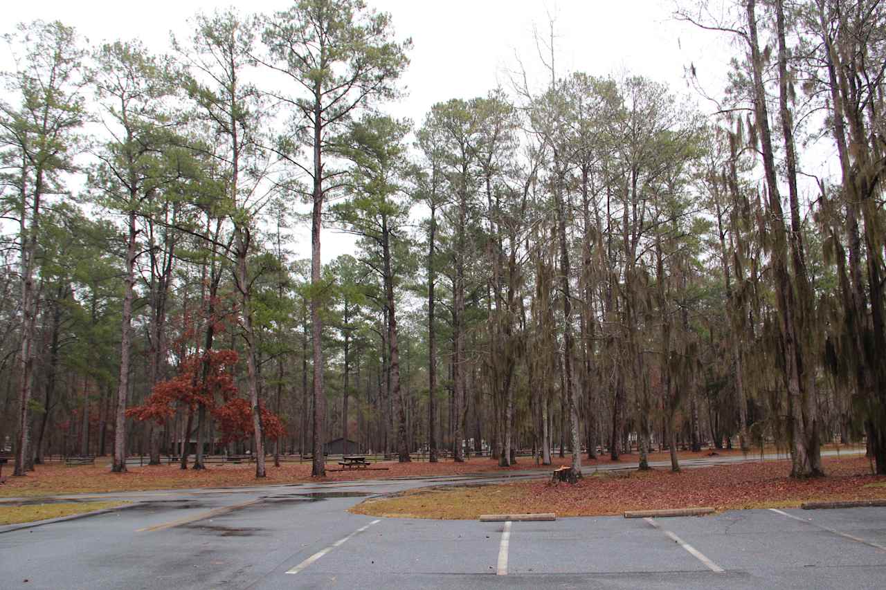 Florence Marina State Park Campground