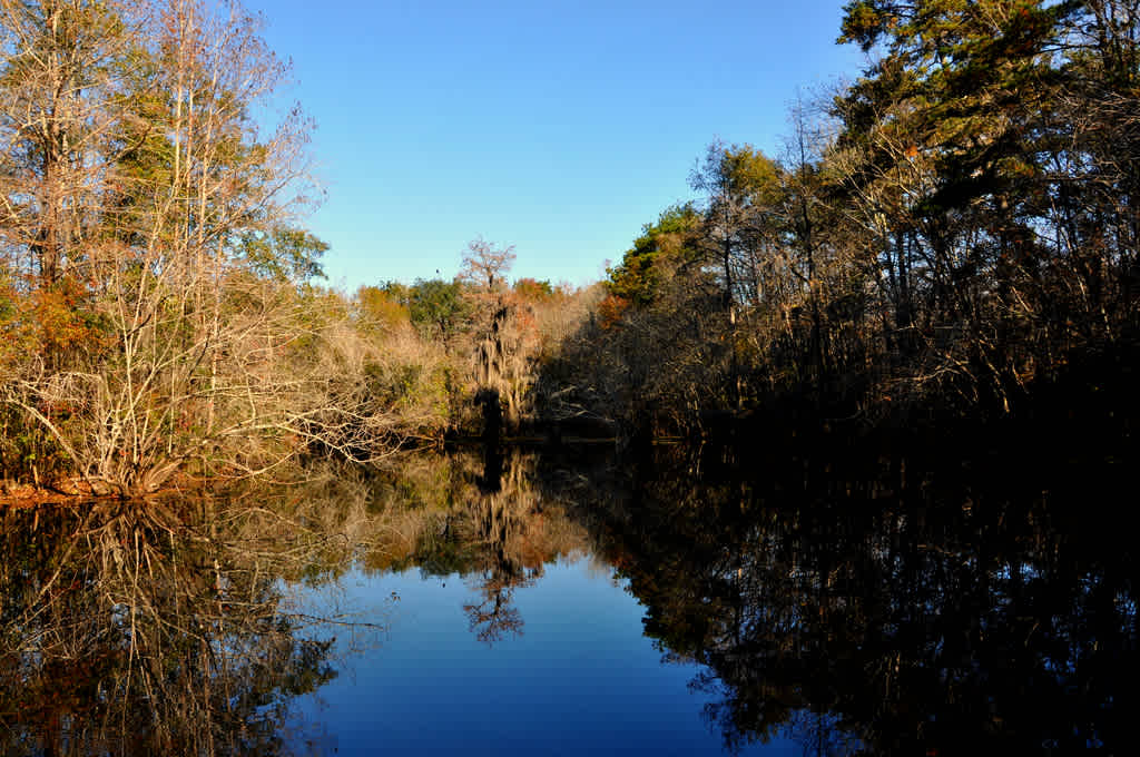 Reed Bingham State Park Campground
